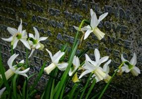 Obituaries